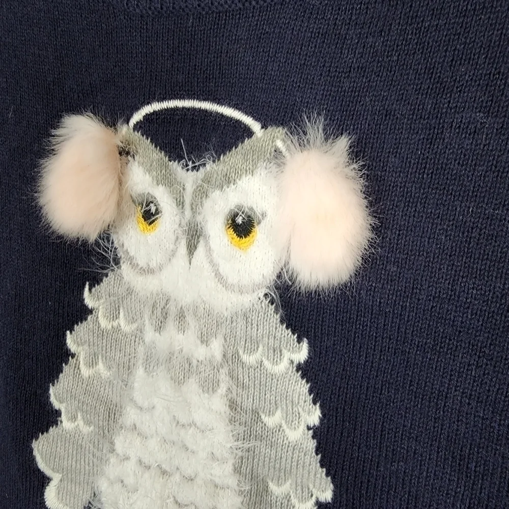 Kate Spade, owl sweater, size S, nwot